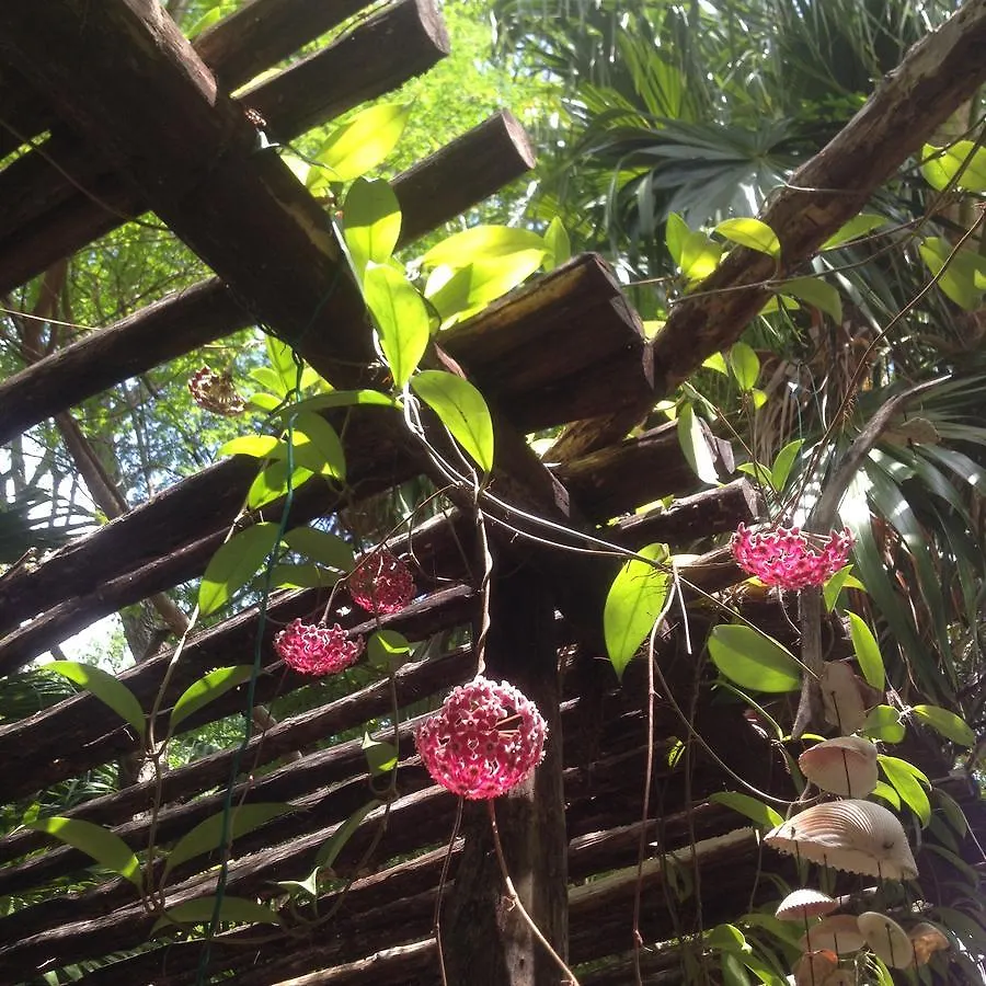 Casa Kin33 Bed & Breakfast Cancun