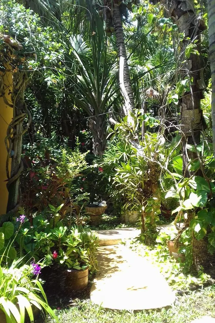 Casa Kin33 Bed & Breakfast Cancun
