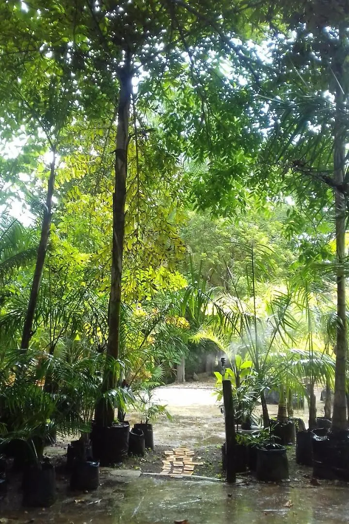 Casa Kin33 Bed & Breakfast Cancun