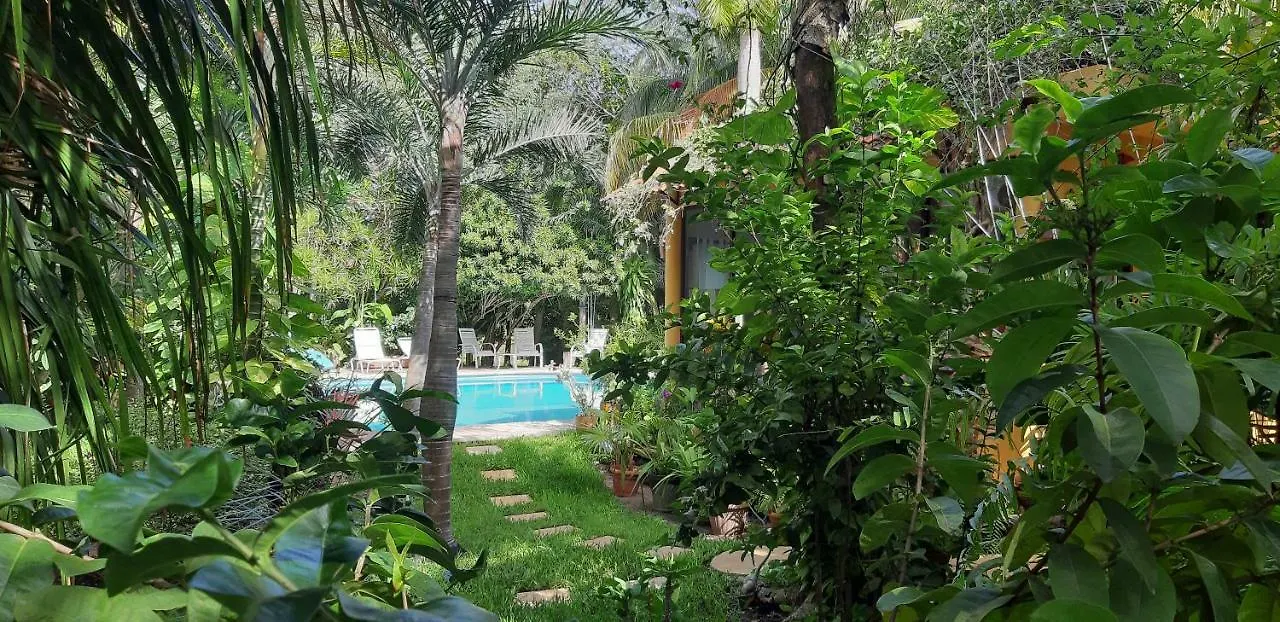 Casa Kin33 Bed & Breakfast Cancun