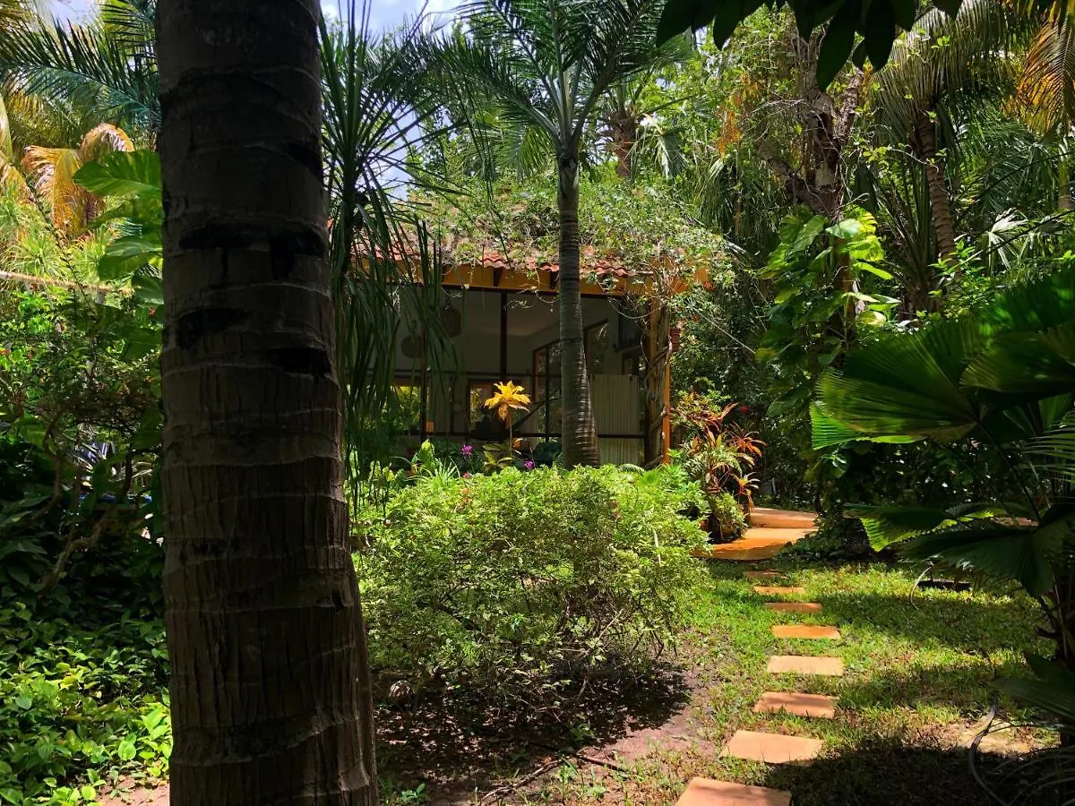Casa Kin33 Bed & Breakfast Cancun Mexico