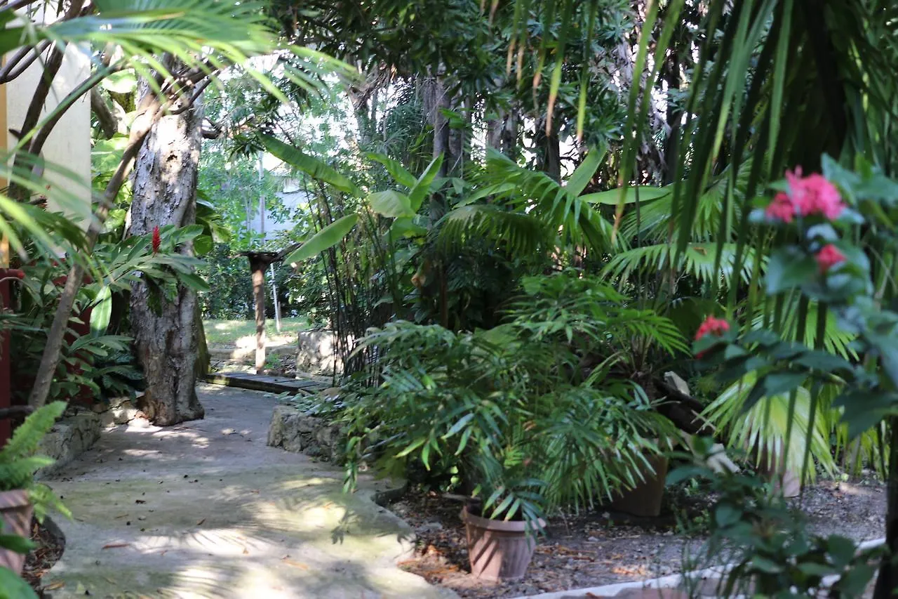 **** Nocleg ze śniadaniem Bed and Breakfast Casa Kin33 Cancún Meksyk