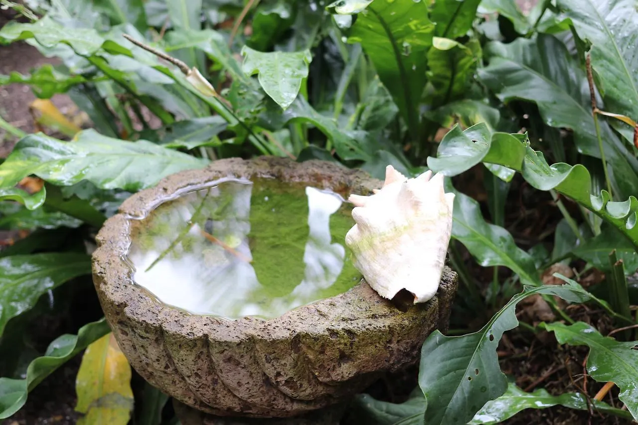 Nocleg ze śniadaniem Bed and Breakfast Casa Kin33 Cancún