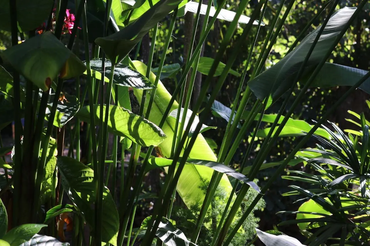 Bed and Breakfast Casa Kin33 Cancún Nocleg ze śniadaniem