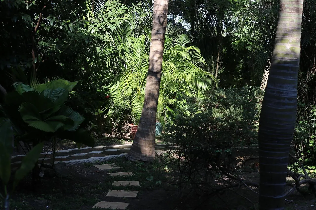**** Nocleg ze śniadaniem Bed and Breakfast Casa Kin33 Cancún Meksyk