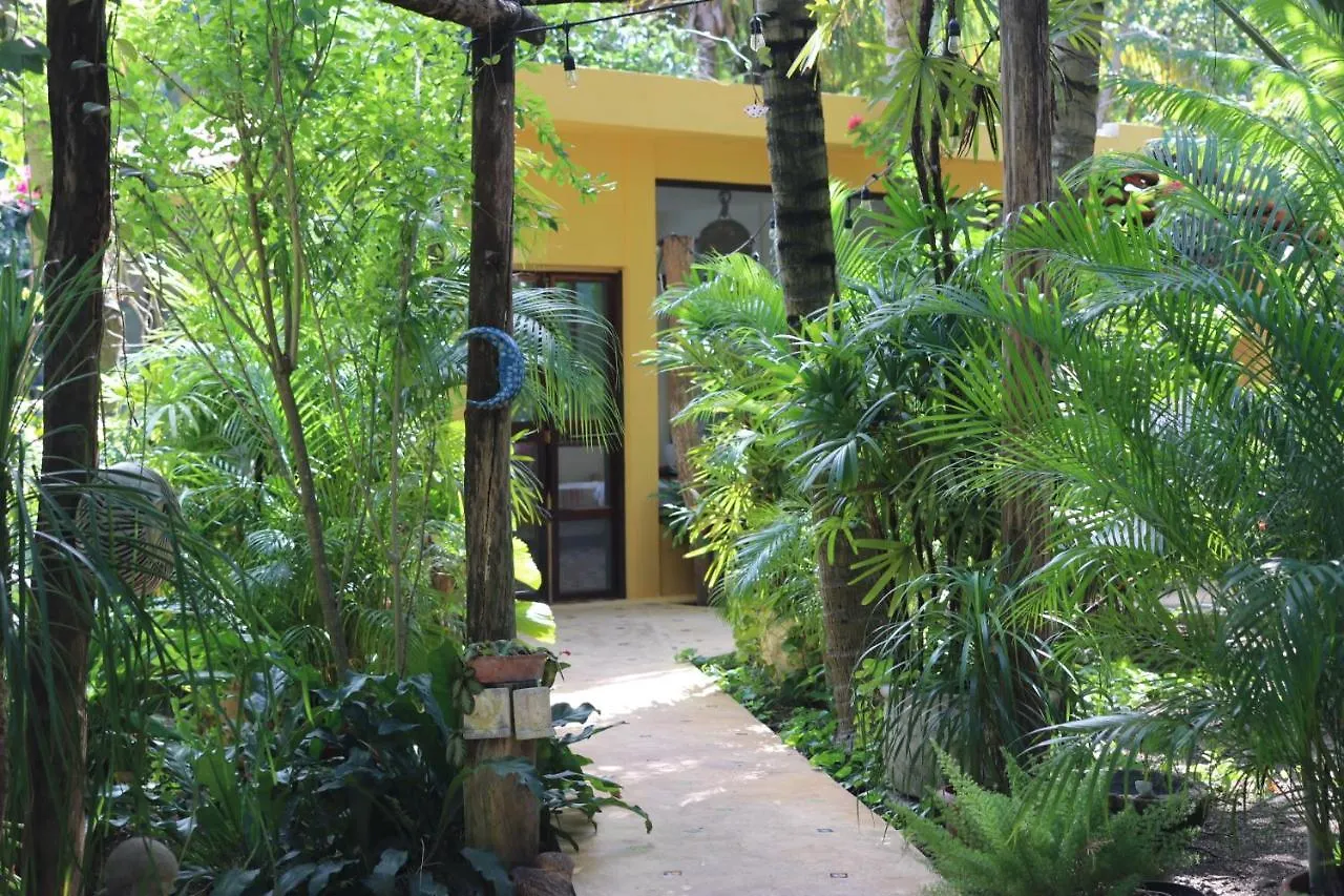 Bed and Breakfast Casa Kin33 Cancún