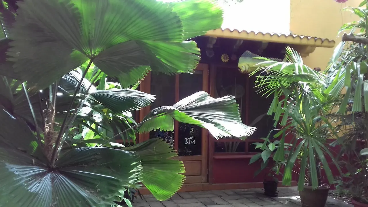 Bed and Breakfast Casa Kin33 Cancún Meksyk