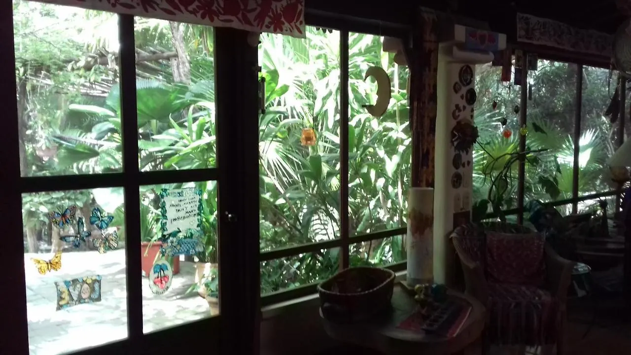Bed and Breakfast Casa Kin33 Cancún Nocleg ze śniadaniem