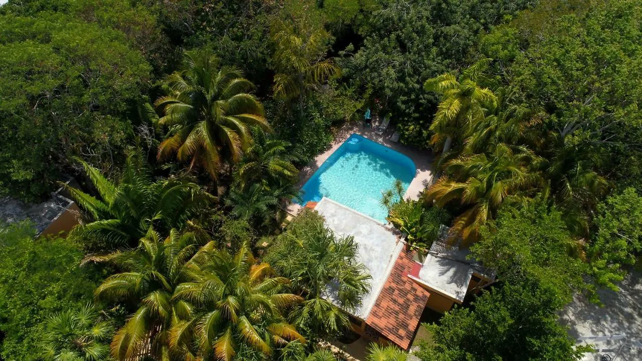 Bed and Breakfast Casa Kin33 Cancún Nocleg ze śniadaniem